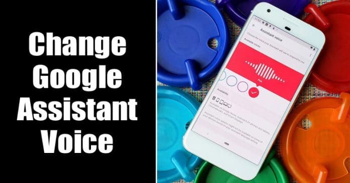 Change Google Assistant Voice on Android