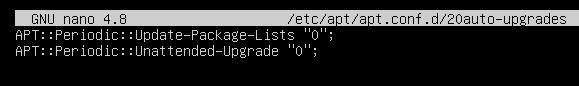 Cómo actualizar Ubuntu 20.04 desde El Terminal auto upgrade