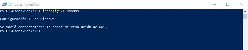 clear dns cache using powershell