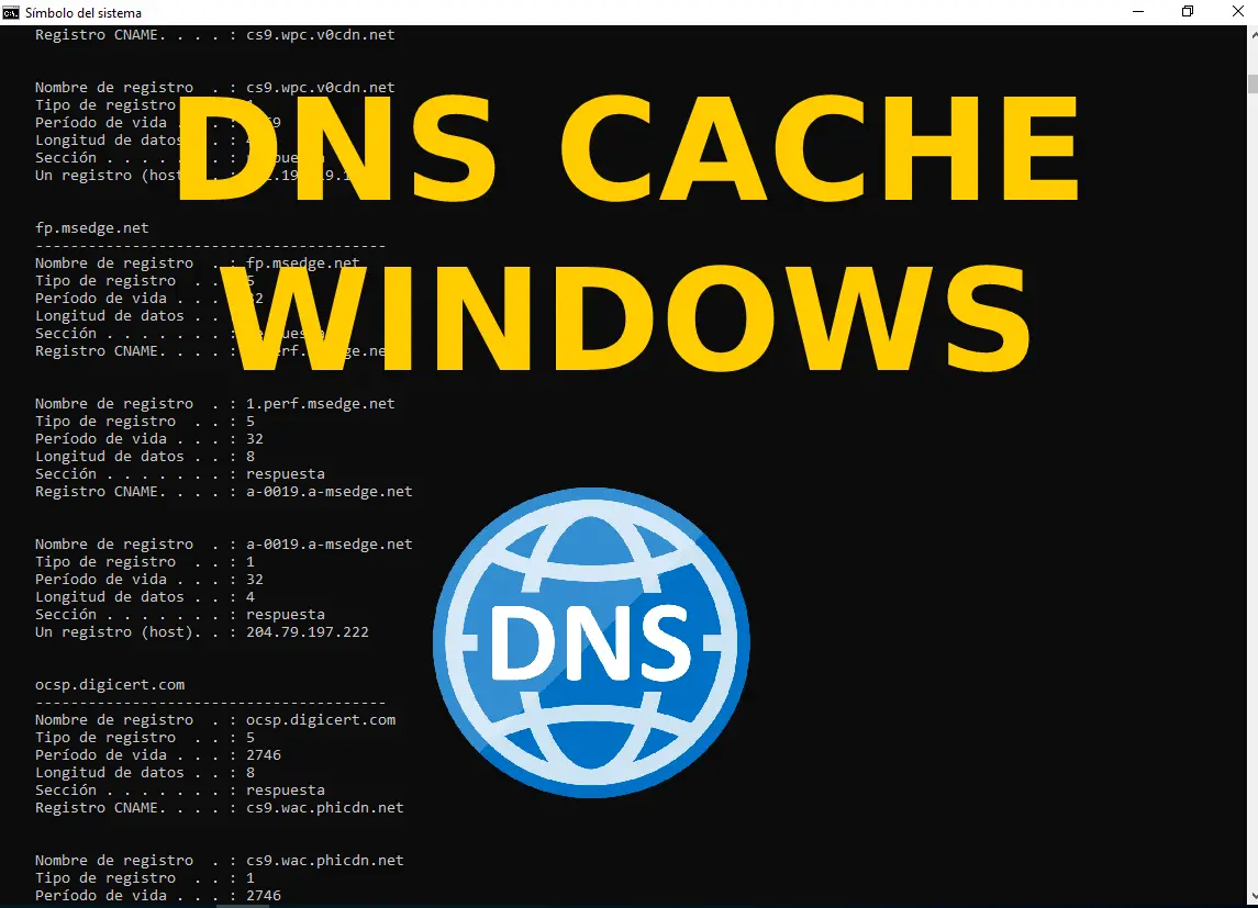 export dns cache windows