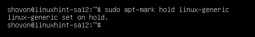 Cómo actualizar Ubuntu 20.04 desde El Terminal generik hold