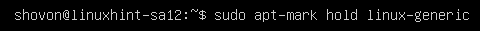 Cómo actualizar Ubuntu 20.04 desde El Terminal hold generic
