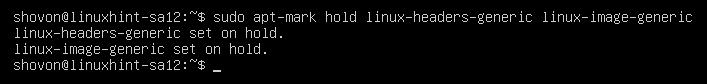 Cómo actualizar Ubuntu 20.04 desde El Terminal on hold