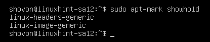 Cómo actualizar Ubuntu 20.04 desde El Terminal showhold
