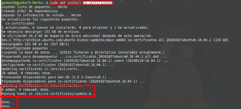 terminal update ubuntu