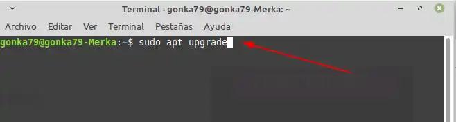 update ubuntu with apt get