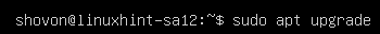 Cómo actualizar Ubuntu 20.04 desde El Terminal upgrade