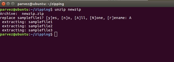 how_to_zip_and_unzip_on_ubuntu_2
